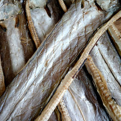 海鲜干货鳗鱼干东海淡鳗鱼新鲜现晒鳗鱼片台州温岭特产美食小吃