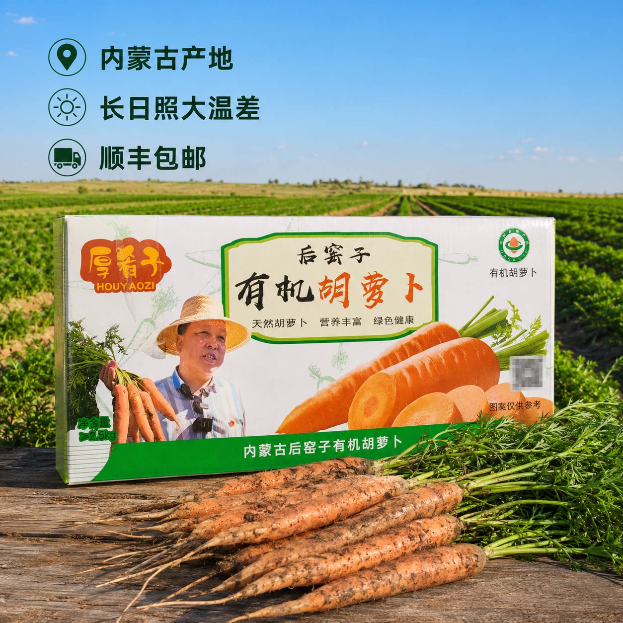【顺丰包邮】沙地孕育·有机认证｜内蒙古后窑子胡萝卜，原汁原味