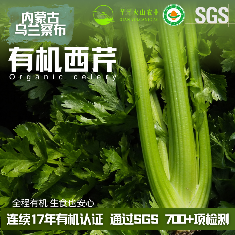 【顺丰包邮】乌兰察布有机西芹