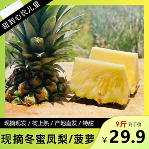 现摘特甜冬蜜凤梨5斤9斤海南台农13号蜜香高甜手撕凤梨树上熟金钻