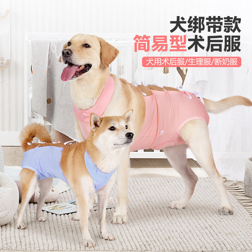 狗狗术后服简易绑带款断奶康复服