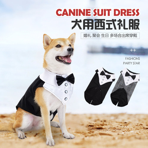 狗狗参加婚礼衣服蝴蝶结西服