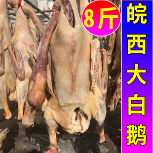 风干咸鹅腊鹅安徽六安皖西农家散养腌制大白鹅手工腌制老鹅肉笨鹅