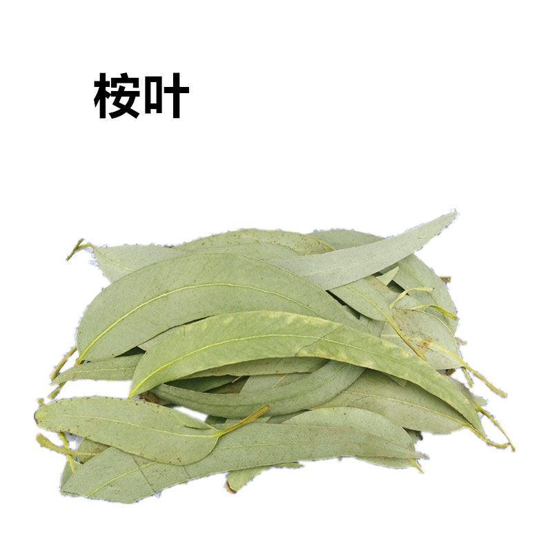 桉叶 中药材 桉树叶 橡树叶 大桉叶 蓝绿桉叶 按叶安叶 500克包邮