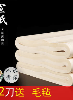 安徽泾县白色四尺六尺三尺特种净皮生宣国画书法练习半生半熟宣纸