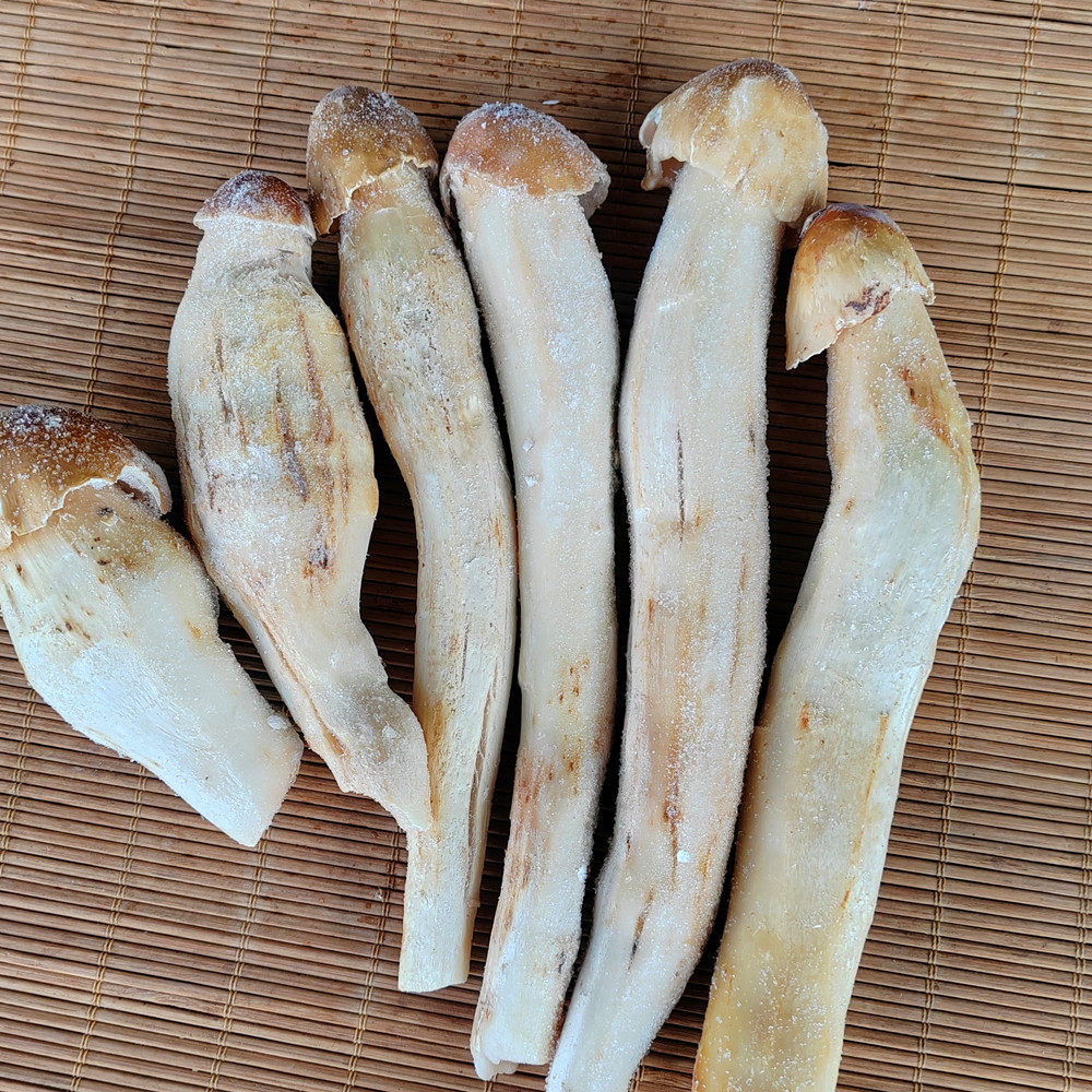 新鲜野生鸡枞菌冰鲜冷冻鸡纵菌鸡棕云南散装特产野生菌蘑菇发顺丰