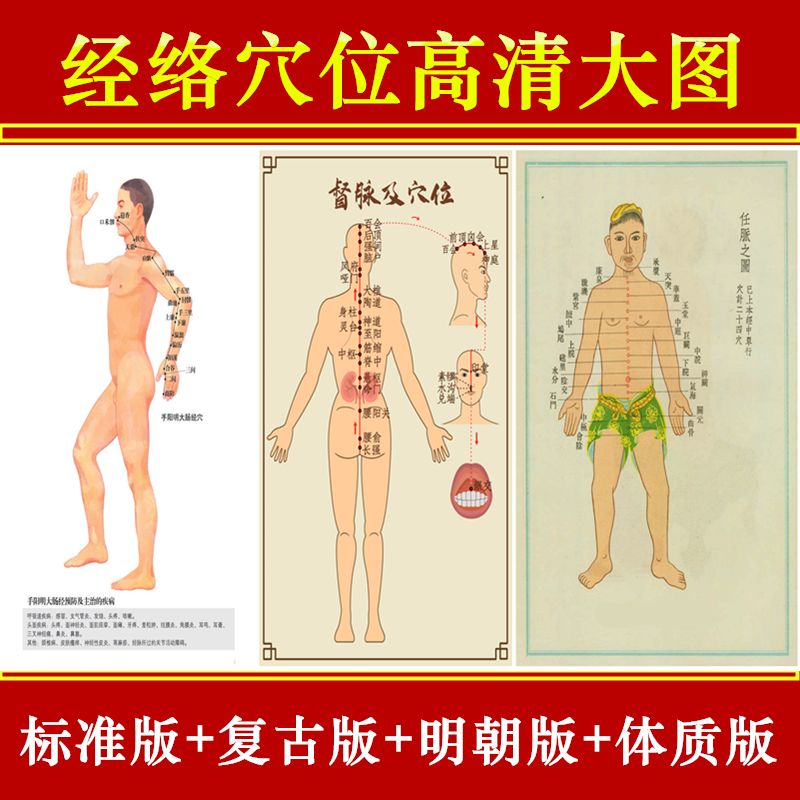 经络穴位高清大图十四经脉奇经八脉国家标准图手穴耳穴足部反射区