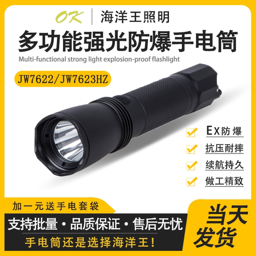 海洋王76237622户外防爆手电筒
