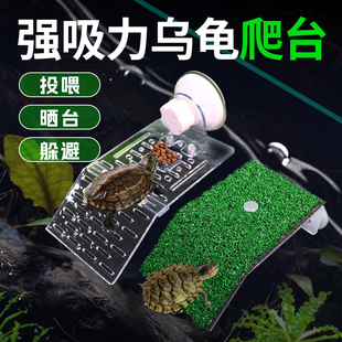 养龟造景草坪大号休息台乌龟射避屋龟缸亚克力喂食台晒台乌龟爬台