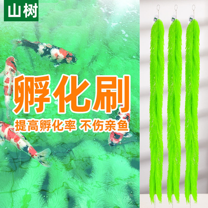 山树孵化毛刷锦鲤产卵鱼卵孵化刷金鱼繁殖水产养殖孵化草鱼巢