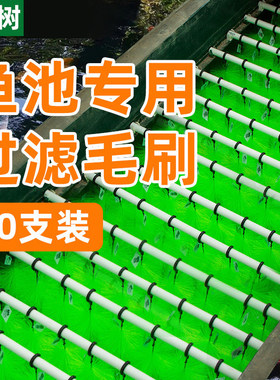 山树毛刷鱼池锦鲤过滤毛刷孵化刷