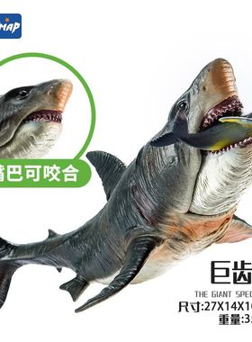 仿真鲨鱼玩具巨齿鲨海洋动物模型大白鲨锤头鲨蓝鲨儿童男生日礼物