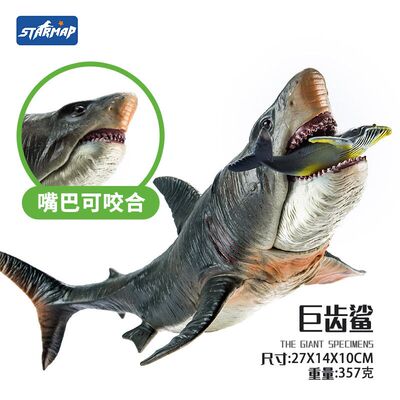 仿真鲨鱼玩具巨齿海洋动物模型