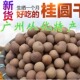 新货桂圆干特级精选龙眼干肉厚带壳原果无添加广州从化500克 包邮