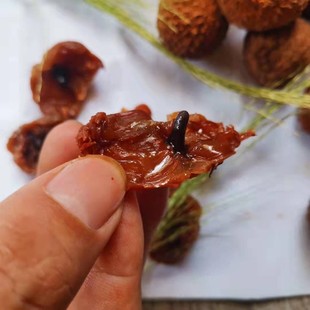 荔枝新鲜干果糯米糍小核肉厚精装整箱荔技干货从化特产状元红新货