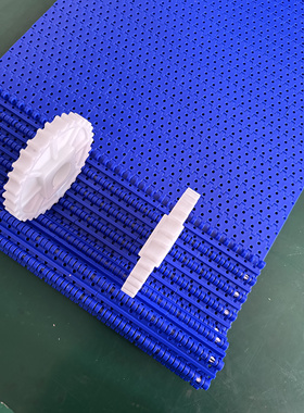 DM8500圆孔网带 节距25.4 pom蓝色 输送链板 包装输送线磨块网带