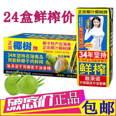 椰树牌椰子汁245ml植物蛋白饮料