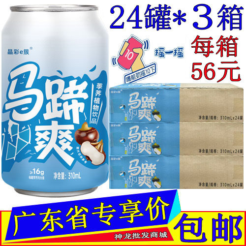 隐雪马蹄爽荸荠果粒原汁原味果味植物饮料310ML*72罐整箱广东包邮