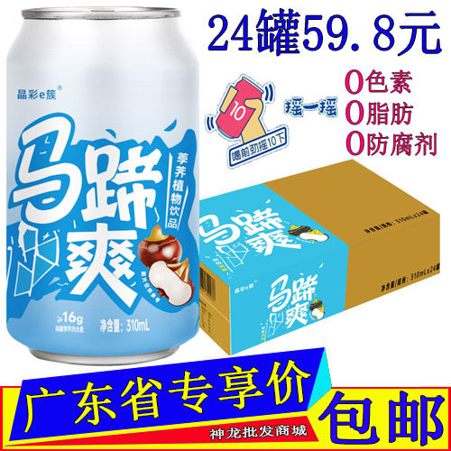 隐雪马蹄爽荸荠果粒果味植物饮料