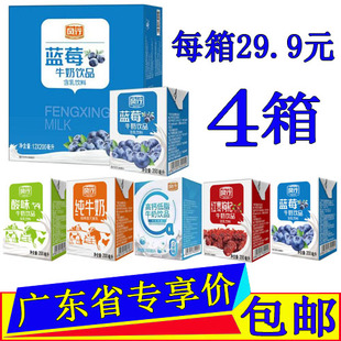 风行牛奶蓝莓味200ml 高钙红枣枸杞原味酸奶纯牛奶 12盒4箱整箱装