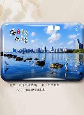 广东湛江旅游风景高透磁吸冰箱贴金沙湾南极村硇洲岛红嘴鸥纪念品