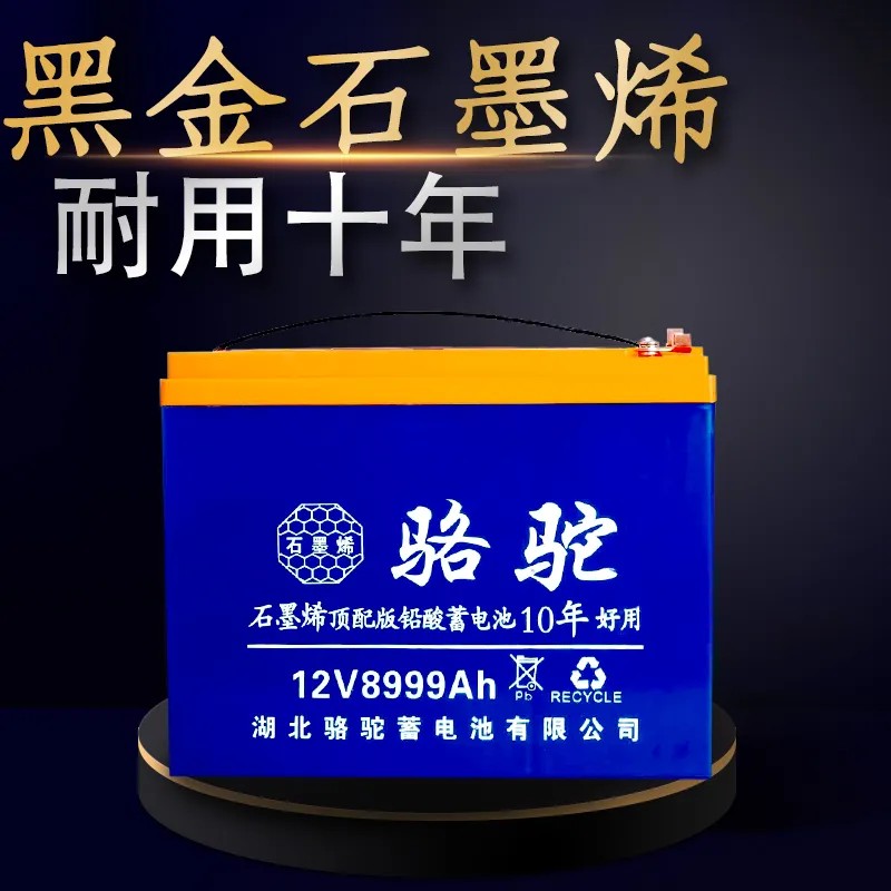 大容量户外灯箱铅酸骆驼电瓶