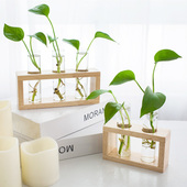 北欧创意简约试管玫瑰荷叶边花瓶摆件客厅装 饰水培插花玻璃轻奢风