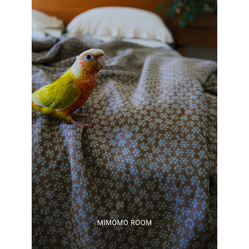 豆蔻绿小花·复古田园风纯棉纱布碎花枕套床单床笠被套单件床品新