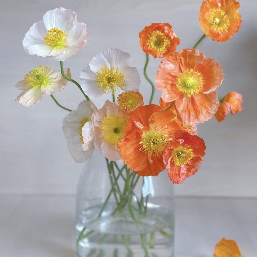 长腿虞美人  水培鲜切枝 鲜花,鲜花速递/花卉仿真/绿植园艺,花材,淘宝优惠券,粉丝福利购,淘宝优惠卷