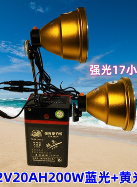 鸿顺户外超亮钓鱼12V5AH20AH锂电池充电60W200W蓝光黄光夜钓灯头