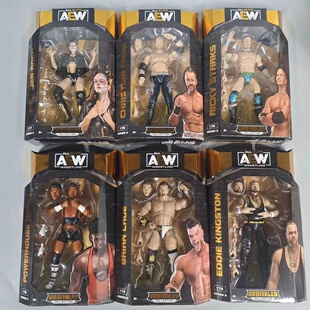 正版 AEW摔跤手 摔跤联盟擂台摔跤手 精品收藏手办玩具 散货