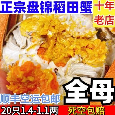 正宗盘锦稻田蟹顺丰包邮