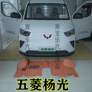 五菱扬光脚垫专用 新款杨光EV新能源电动车封闭货车