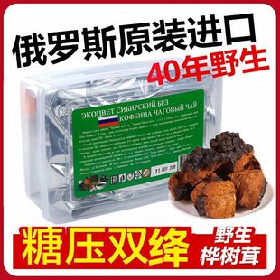 华树蓉桦褐孔菌代用茶的功效和作用桦树茸俄罗斯进口华树榕华树茶