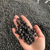 俄罗斯黑果进口天然野生黑果腺肋花楸天鹅绒果苦麻口味正宗正品