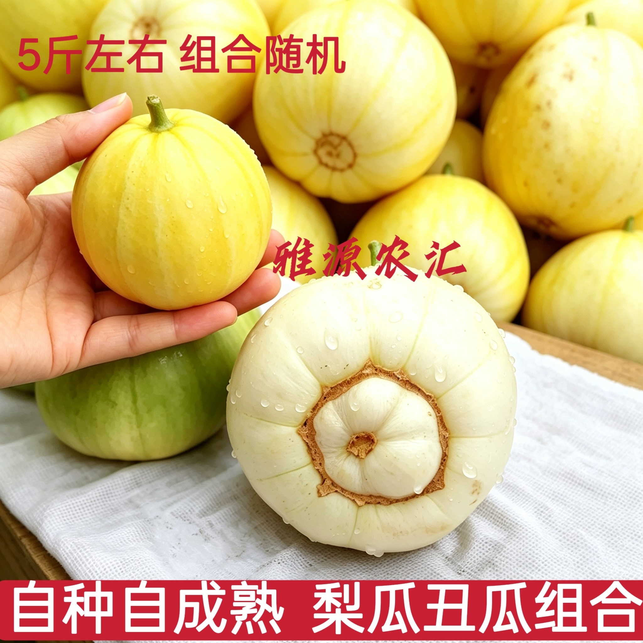 农家自种新鲜丑八怪甜瓜本地梨瓜当季脆甜薄皮小香瓜应季现摘蔬果
