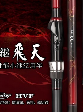 DAIWA达亿瓦 25款小继飞天J 矶竿矶钓竿手海竿钓竿船钓竿