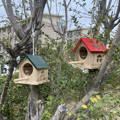 鹦鹉鸟窝鸟笼子鸟笼子