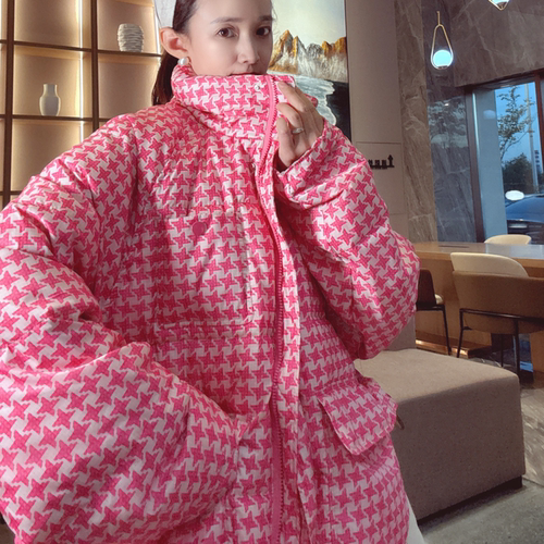 2025巨好看的羽绒服女款冬季立领