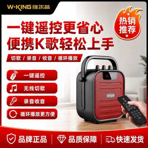 维尔晶T5mini户外手提便携式蓝牙音箱收音机插卡U盘广场舞小音响