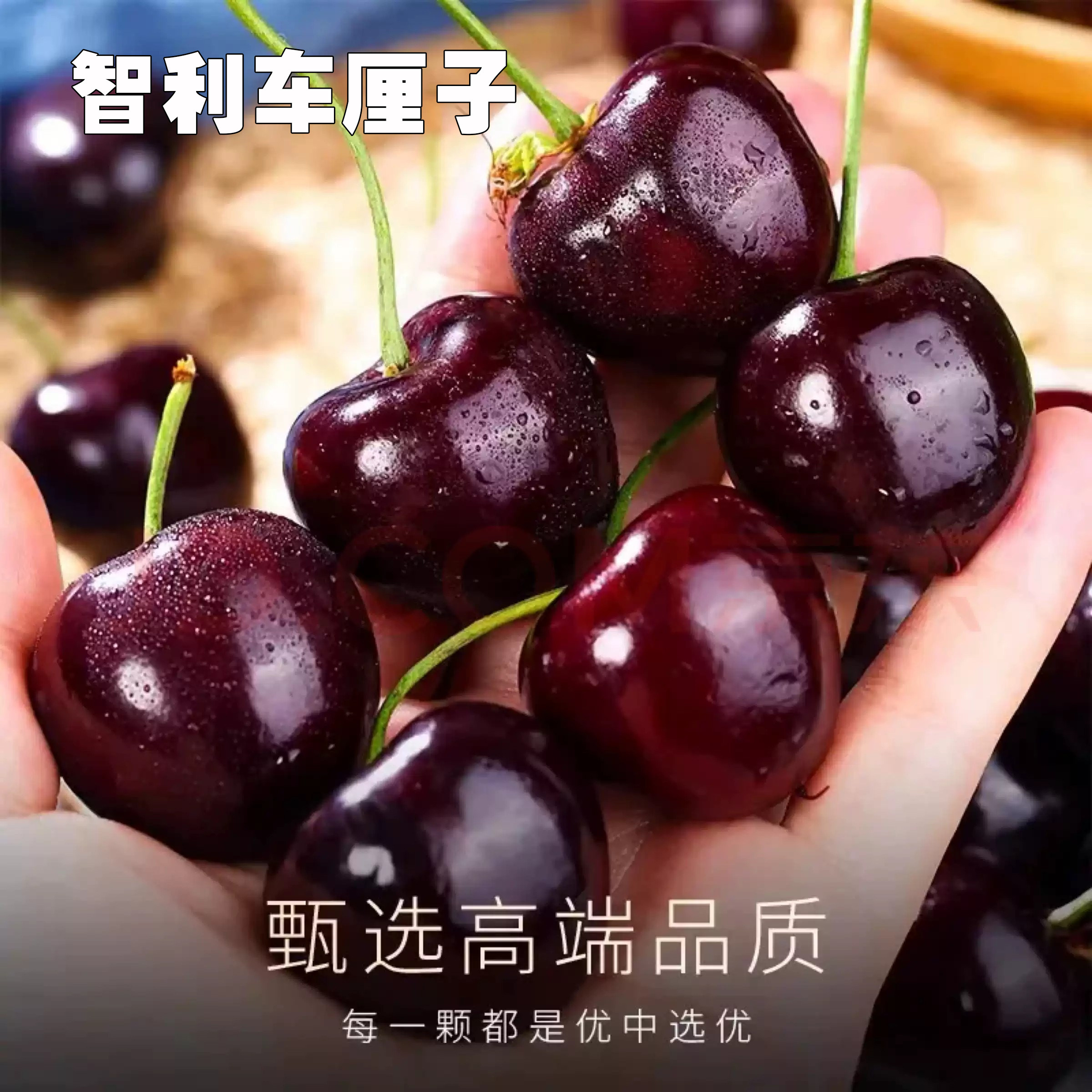 智利进口车厘子5斤原箱脆甜多汁4J当季孕妇新鲜水果整箱顺丰包邮,水产肉类/新鲜蔬果/熟食,车厘子/樱桃,淘宝优惠券,粉丝福利购,淘宝优惠卷