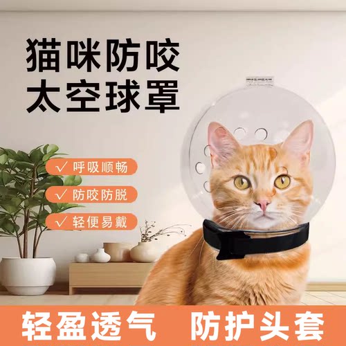 猫咪防护头罩伊丽莎白圈防咬防舔
