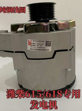 红岩金刚重汽斯太尔潍柴WD615/618铲车装载80A8PK申湖原厂发电机