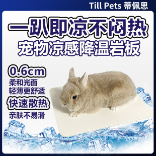 蒂佩思宠物降温冰凉板岩板夏季凉爽兔子荷兰猪凉垫消暑神器用品