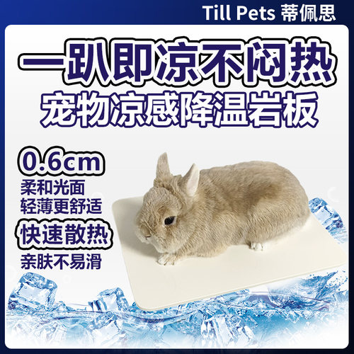 蒂佩思宠物降温冰凉板岩板夏季凉爽兔子荷兰猪凉垫消暑神器用品