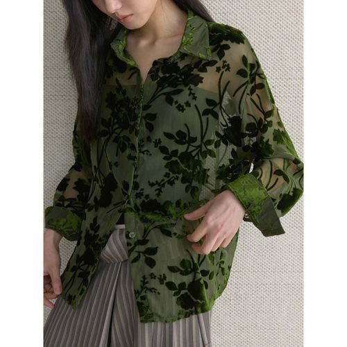 早春韩系清新透肤丝绒衬衫