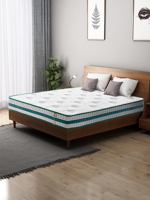 天坛家具22cm弹簧床垫席梦思护脊双人床垫整网弹簧床云享-梦想家