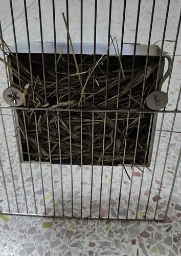 草架外置内置两用兔子龙猫专用笼外可固定式不锈钢草架不浪费草