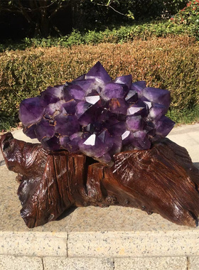 天然紫水晶标本骨干原石摆件 古老水晶宝石一物一图