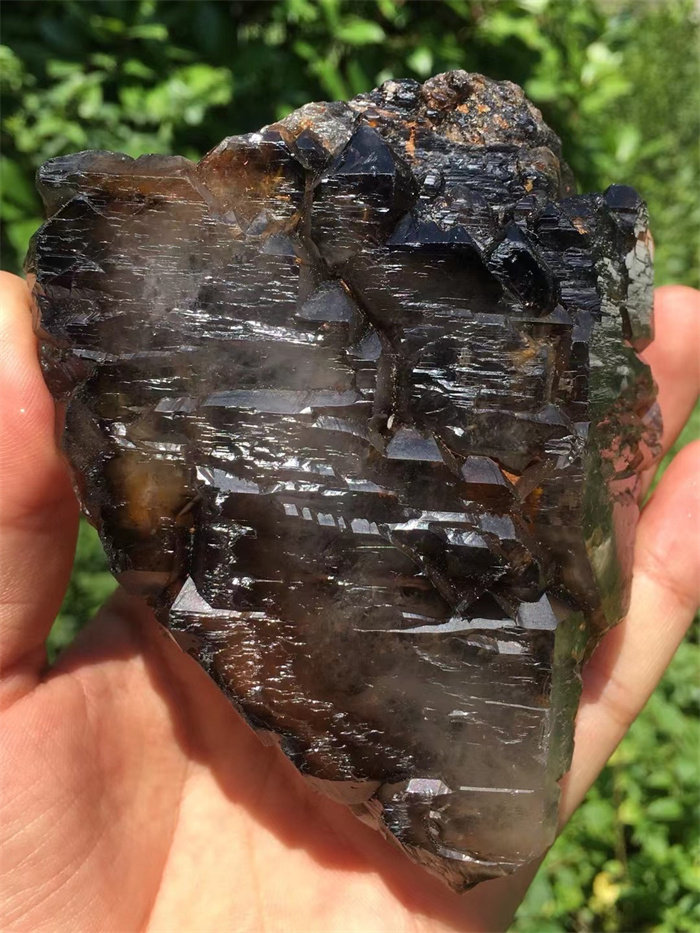 天然巴西黑水晶骸骨骨干原石摆件 一物一图水晶宝石